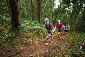 BIB: 3104
                            <button type="button" onclick="openModal(22445151)" class="btn btn-primary btn-sm float-right btn-popup" data-toggle="modal" data-target=".modal-high-quality">
                        <i class="fas fa-shopping-cart"></i> Add to Cart
                    </button>
                                            <button type="button" onclick="isThisMe(22445151, true)" class="btn btn-success btn-sm float-right btn-popup btn-isme hidden" data-toggle="tooltip" data-placement="bottom" title="นี่คือรูปของคุณใช่ไหม คลิกที่นี่เพื่อเอาเข้าอัลบั้ม">
                        <i class="fas fa-plus"></i> Add to album
                    </button>
                    <button type="button" onclick="isThisMe(22445151, false)" class="btn btn-warning btn-sm float-right btn-popup btn-isnotme hidden">
                        <i class="fas fa-ban"></i> Remove from album
                    </button>